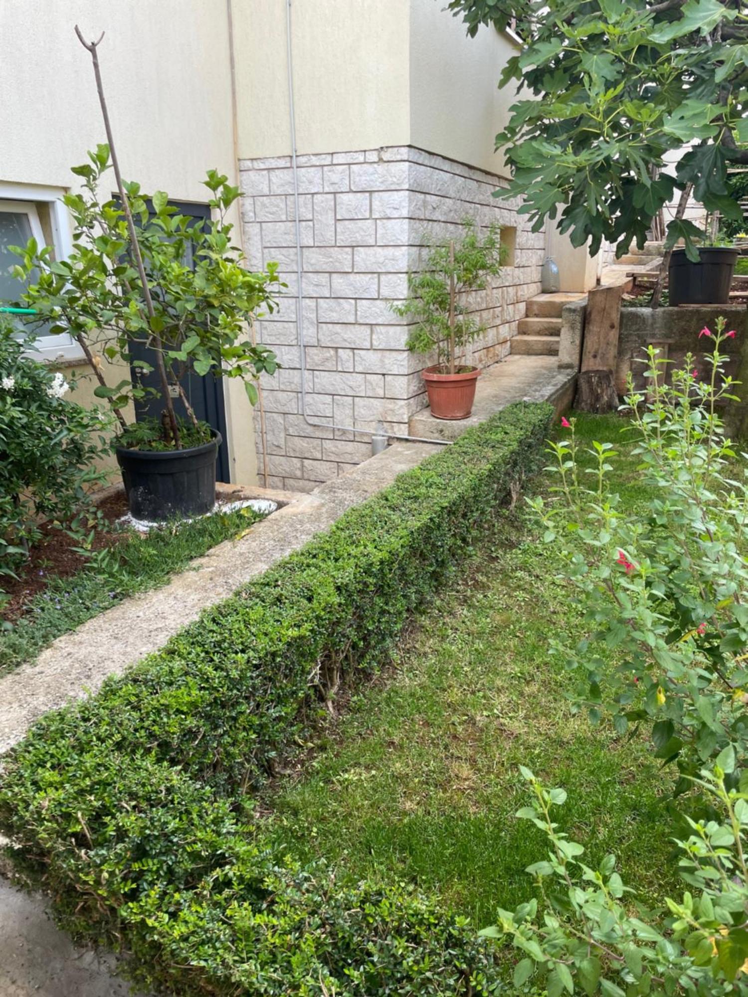 Apartmani Darko Rovinj Extérieur photo